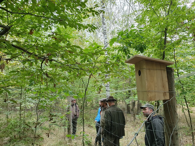 Terepbejárás a Zemplénben magánerdőgazdálkodó-partnerekkel