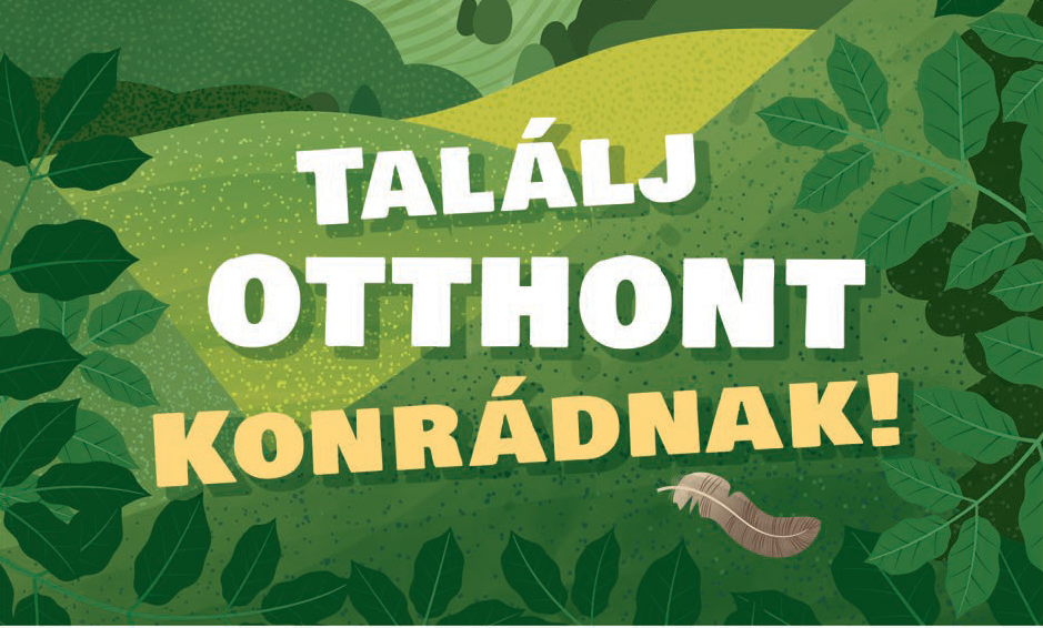 Find a home for Konrád! – Education booklet and a lesson plan for elementary schools