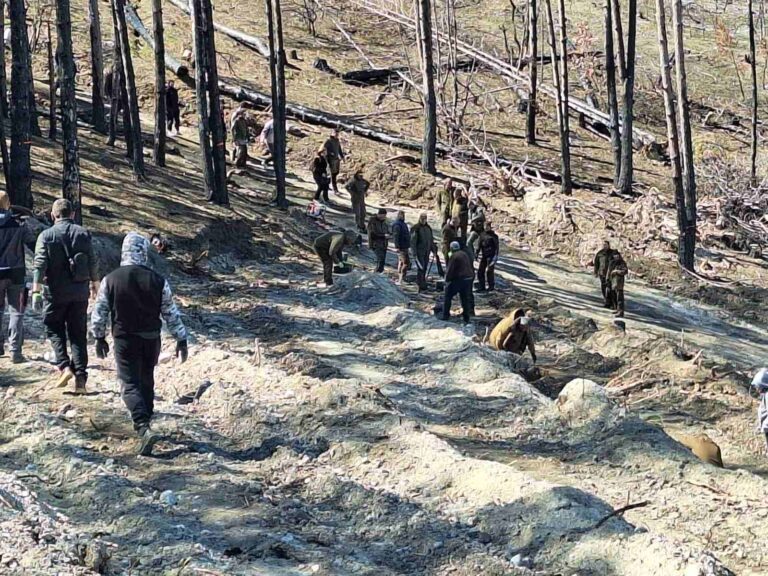 Залесяване в унисон с климатичните промени