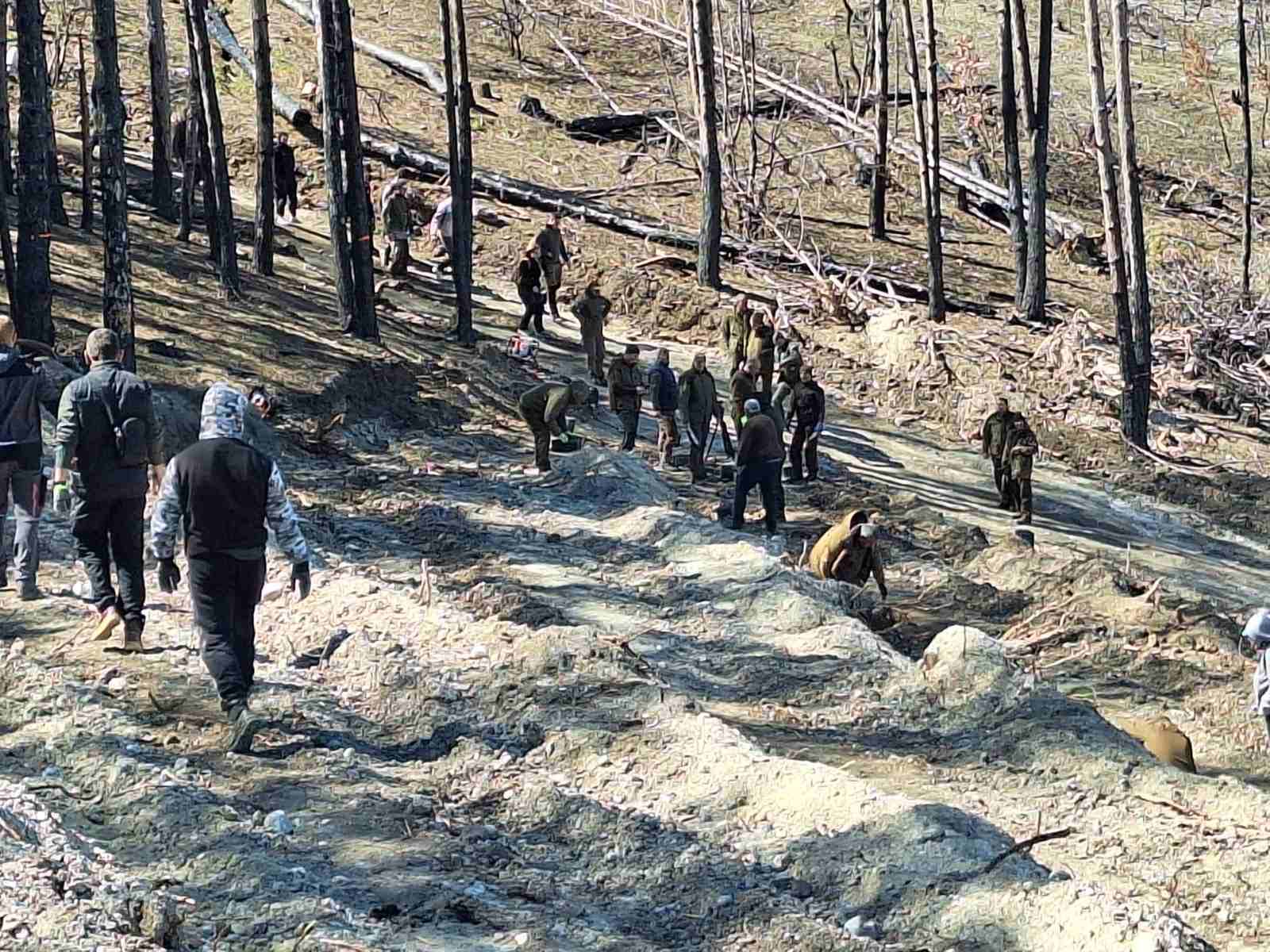 Afforestation in harmony with climate change