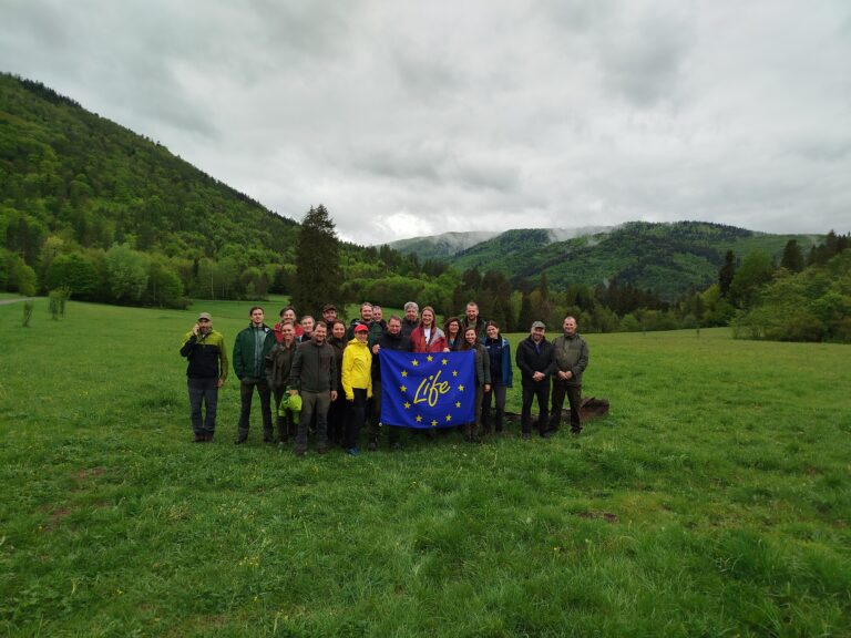 Climate-Ready Forests: What We Learned During the CLIMAFORCEE LIFE Study Tour